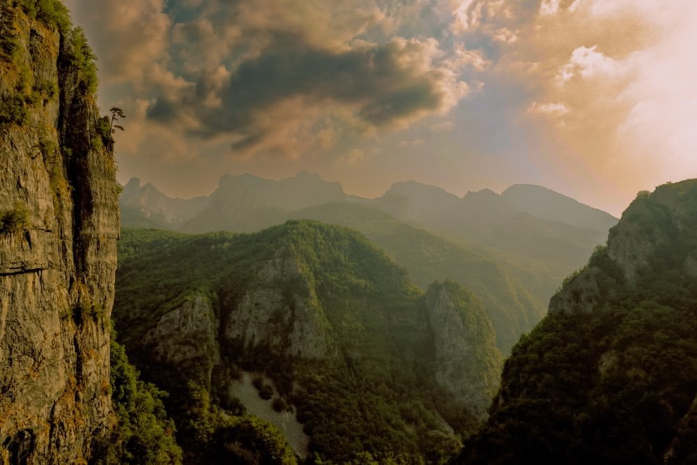 Zalazak sunca kroz drveće